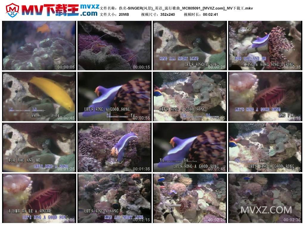 佚名-SINGER(风景)_英语_流行歌曲_MC805091